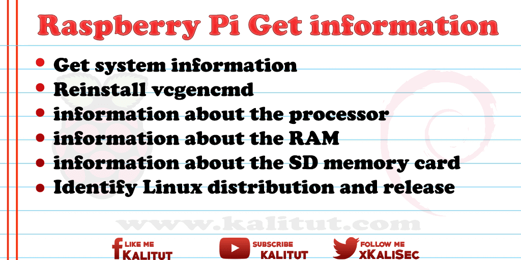 Get Raspberry Pi system information