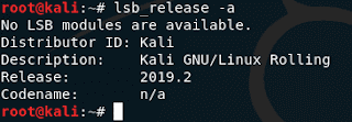 bash lsb_release command not found