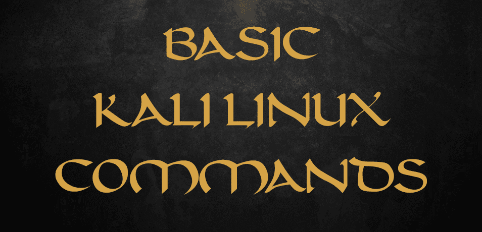 kali linux commands